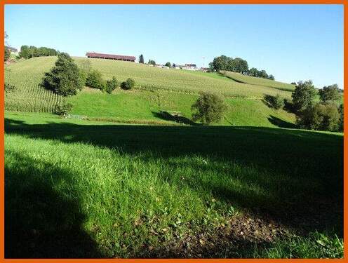 Aussicht arrond. Wiesen - 