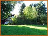 Natur pur - 