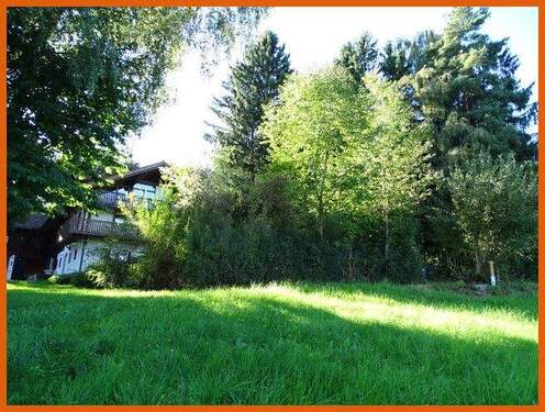 Natur pur - 