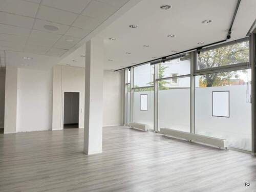 großer Raum - Büro zur Miete in Radebeul