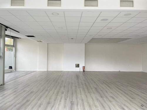 großer Raum - Büro in Radebeul zur Miete