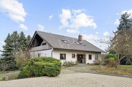 Vorderansicht - 8 Zimmer Einfamilienhaus zum Kaufen in Stein-Bockenheim