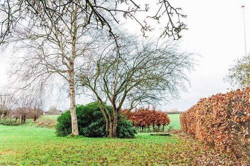 Garten und Ausblick - Einfamilienhaus mit 269,00 m&sup2; in Schnarup-Thumby zum Kaufen