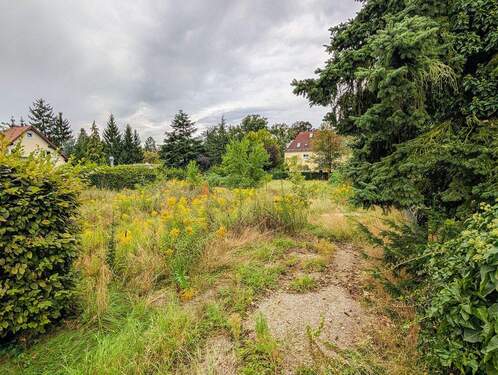 Grundstück - Grundstück in Dresden