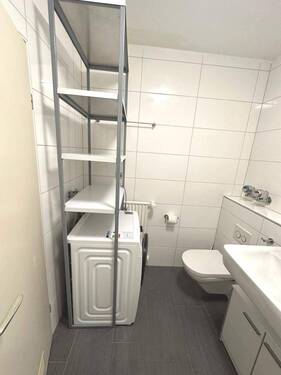 PHOTO-2024-11-12-14-36-40.jpg - 