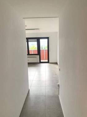 PHOTO-2024-11-12-14-36-108.jpg - 