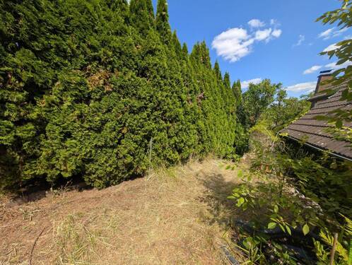 Garten. - 