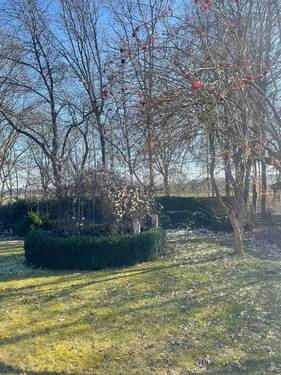 Garten - 