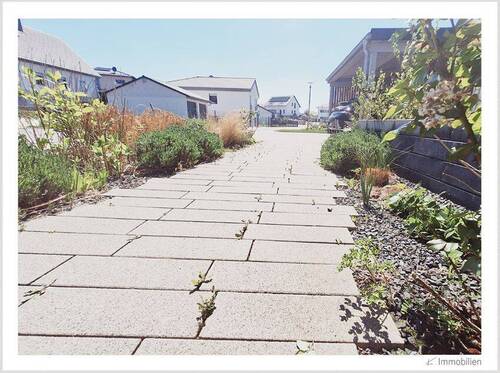 145-2025 Pflaster.jpg - 