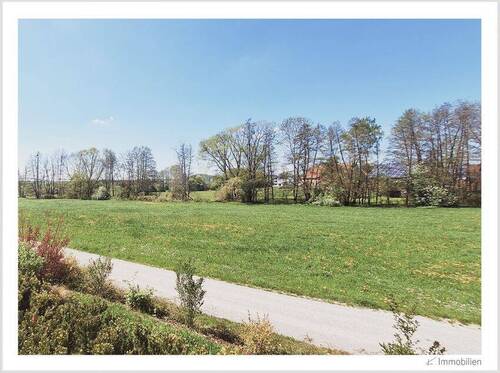 145-2025 Auenwiese.jpg - 