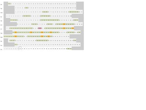 Belegung_gesamt_2025 - 