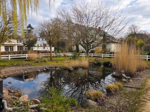Gartenteich - 