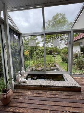 Teich - 