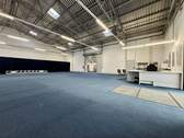 Halle II - 