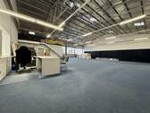 Halle III - 