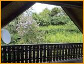 Blick v. Balkon in den Garten - 