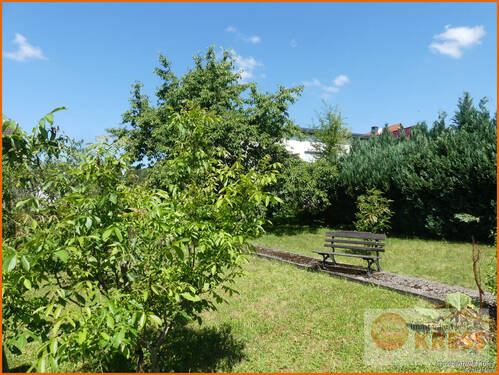 Bild 7 - 
