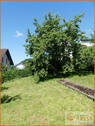 Bild 8 - 