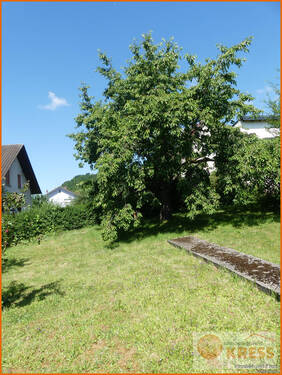 Bild 8 - 