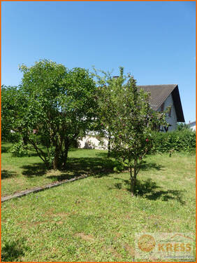 Bild 9 - 