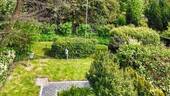 Gartenimpression - 