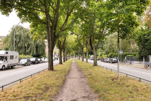 Grünstreifen Bleickenallee - 