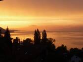 Ihr künftiger Sonnenuntergang ? - Bodensee-und Alpensicht genießen - Urlaubsfeeling garantiert