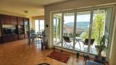 Wohn-Ess-Zimmer mit ringsum bodentiefen Fenstern - 
