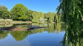 Dorfteich Lichtenrade - 