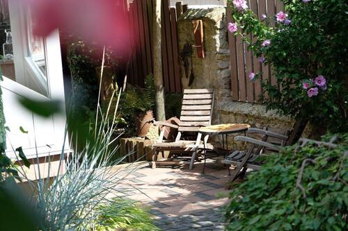 Gartenimpressionen - 