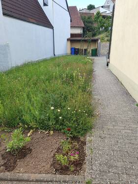 lassen Sie Ihre Fantasie spielen - 