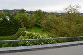 DSC_0513.JPG - 