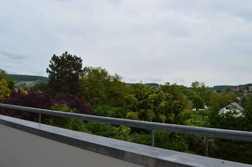 DSC_0494.JPG - 