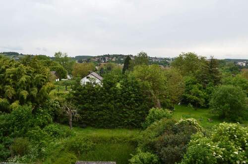 DSC_0495.JPG - 