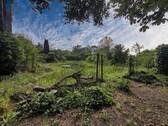 Ziergarten - 