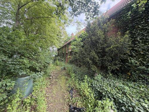 Ziergarten - 