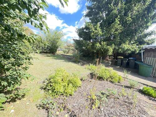 Blick in den Garten - 