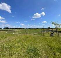 Wunderschönes Fachwerkhaus in ruhiger Lage mit Platz für 4-5 Pferde - Edemissen Voigtholz-Ahlemissen