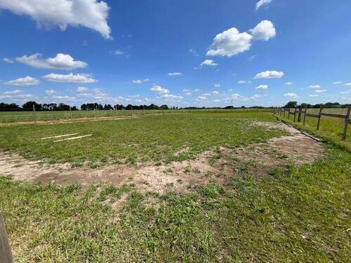 Eigentumsgrundstück - Reitfläche - 5 Zimmer Einfamilienhaus zum Kaufen in Edemissen