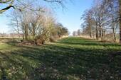 Weide - 