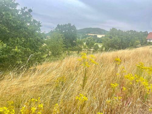 Bild 3 - Grundstück in Heringen (Werra) / Wölfershausen