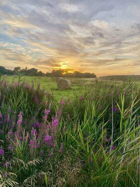 Bild 4 - Doppelhaushälfte mit 125,00 m&sup2; in Neukirchen zum Kaufen
