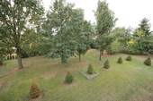 Blick in den Garten - 