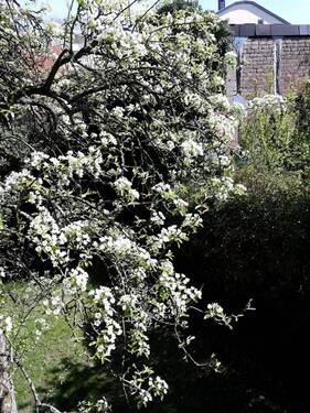 Ausblick - 