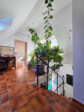 Galerie - 