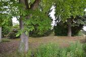 Frontansicht - 