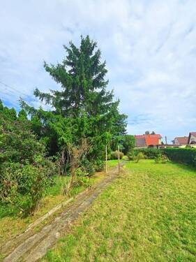 Garten - 