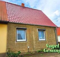 Doppelhaushälfte mit großem Grundstück und viel Potenzial - 