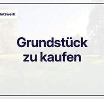 Idyllisches Bauland in Hohenfelde: Natur pur nahe SchwedtOder! - Schwedt/Oder