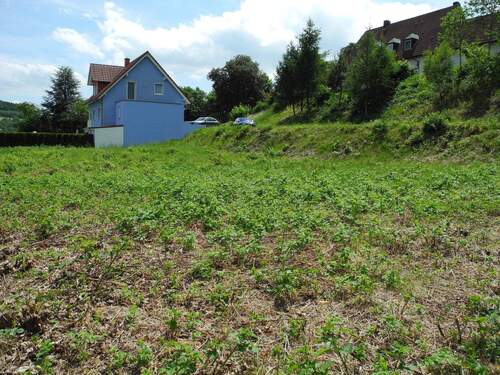 DSCN3131.JPG - Grundstück zum Kaufen in Bad Brückenau